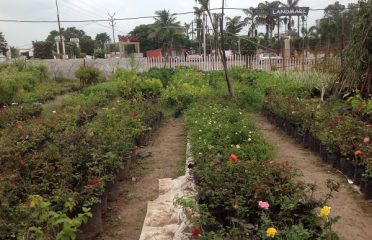 Pranjal Nursery