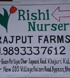 Rishi Nursery