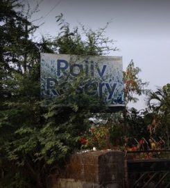 Rajeev Rosery Nursery