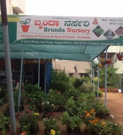 Brunda Nursery