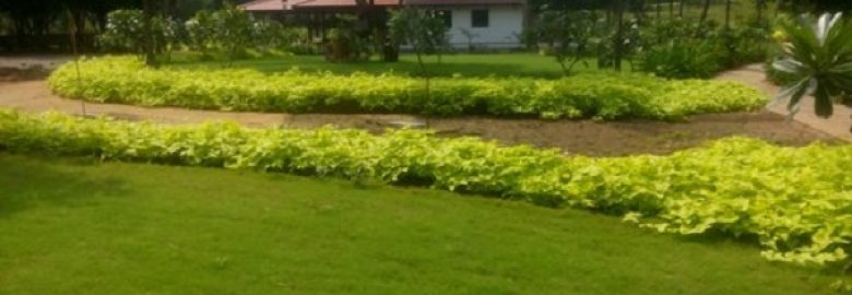 Sakshi Lawns and Nursery
