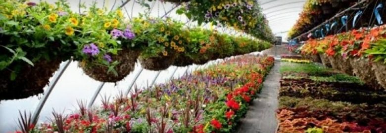 Xolives Backyard – Plant Nursery