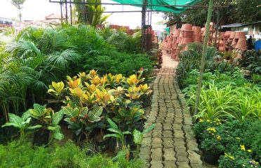 HKGN Plant Nursery