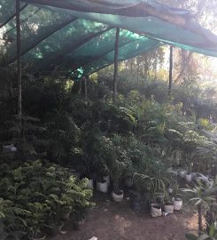 Durga Plant Nursery