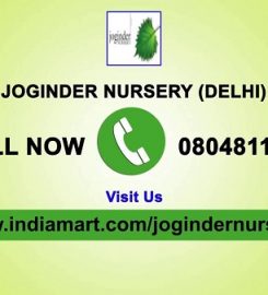 Joginder Nursery