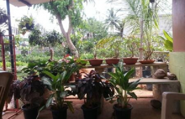 Balaji Nursery