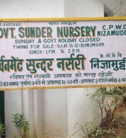 Government Sunder Nursery