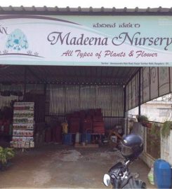 Madeena Nursery