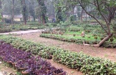 Government Sunder Nursery