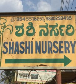 Shashi Nursery