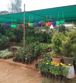 Raju Cement Pot And Flower Nursery