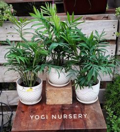Yogi Nursery