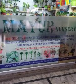 Mayur Nursery