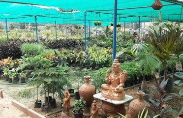 A G Horticulture Nursery & Farm