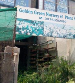 Golden Green Nursery