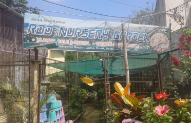 Sasi Nursery