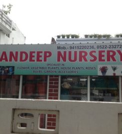 Sandeep Nursery