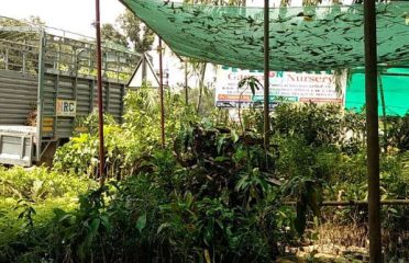 Ganga Nursery