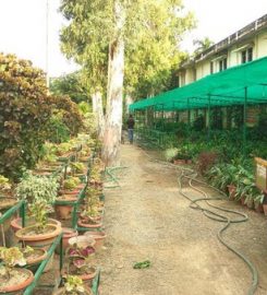 New Maurya Nursery