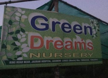 Green Dreams Nursery