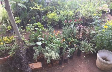 Prabhu Nursery Garden