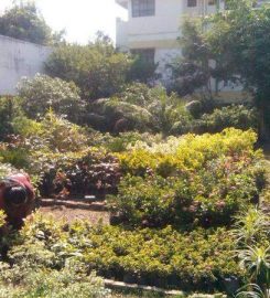 Sanvi Garden Nursery