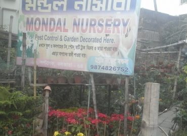 Mondal Nursery