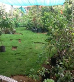 Green Leaf Garden Nursery
