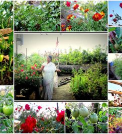 Puspanjali -The Organic Nursery