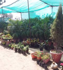 Geeta Plant Nursery