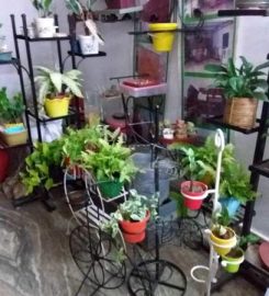 Vrindavan Garden Shop