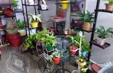 Vrindavan Garden Shop