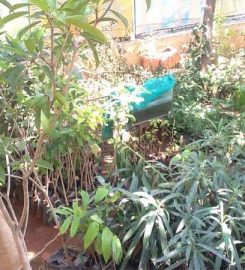 Green Madurai Nursery Garden