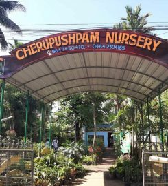Cherupushpam Nursery