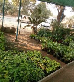A G Horticulture Nursery & Farm