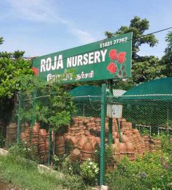 Roja Nursery