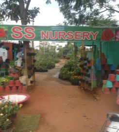 SS Nursery Garden Maintainence