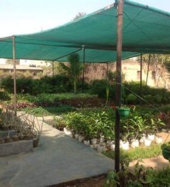 Joshi Plant Nursery