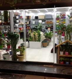The Garden Store
