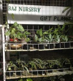 Raj Nursery Gift Plants