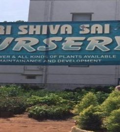 Sri Shiva Sai Nursery