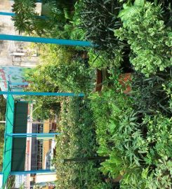 Vivek Nursery Garden