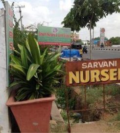 Sarvani Nursery