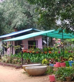 Ashoka Kalinga Nursery