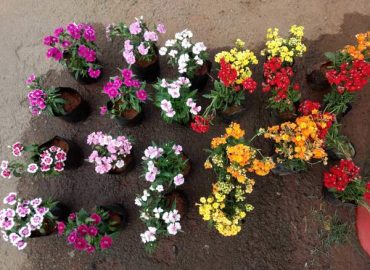 Santhi Flower Stall