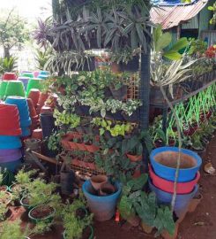 Sri Balaji Nursery Gardens
