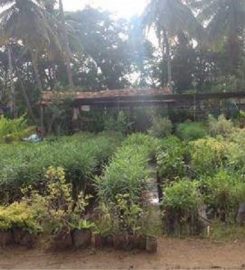 Bhudevi Farm