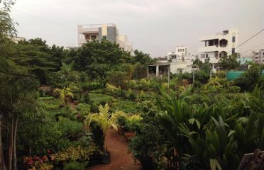 Sarvani Nursery