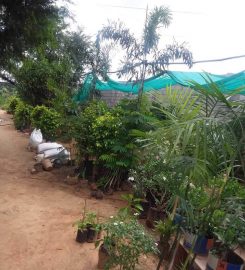 Geeta Plant Nursery