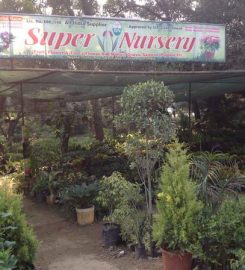 Super Nursery